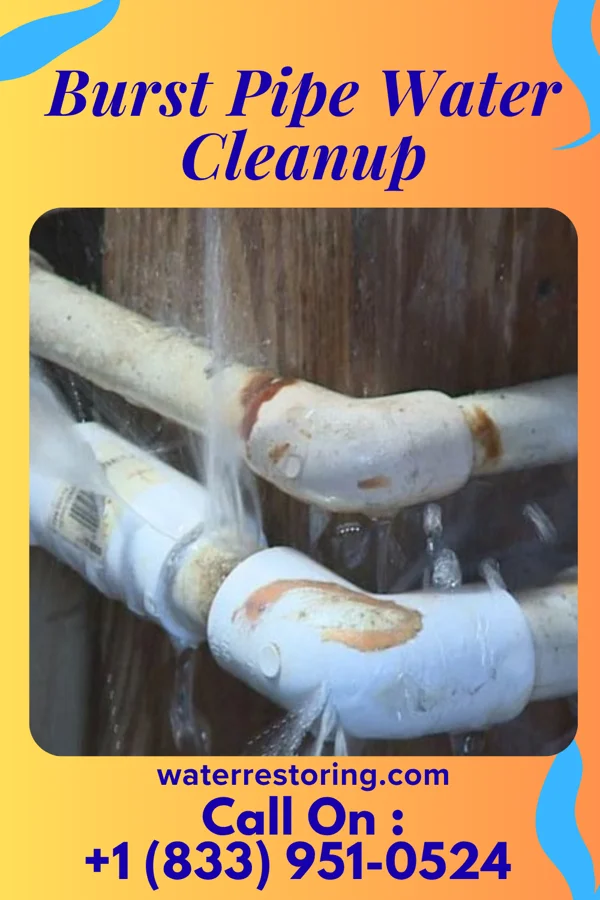 Burst Pipe Water Cleanup in Middle River, MN