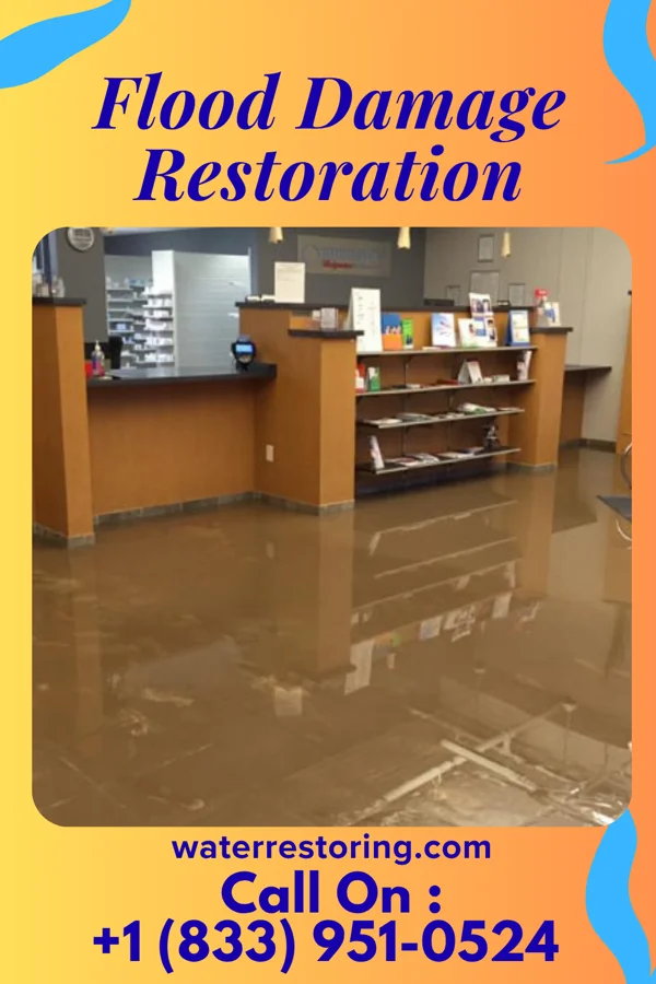 Flood Damage Restoration in Middle River, MN