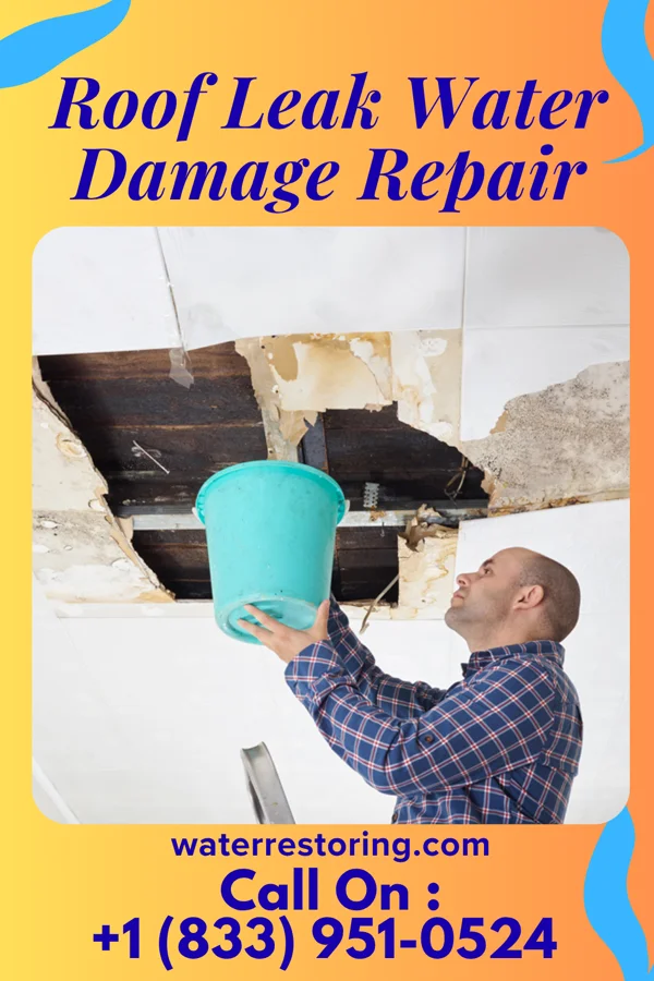 Roof Leak Water Damage Repair in Middle River, MN