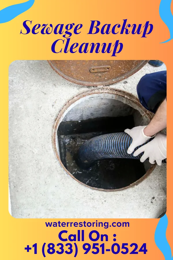 Sewage Backup Cleanup in Middle River, MN